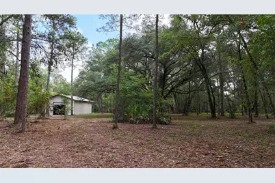 11Ac NE Hwy 315, Fort Mc Coy, FL 32134 - Photo 13