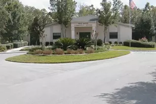 4611 N Rushmore Loop, Beverly Hills, FL 34465 - Photo 67