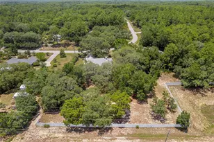 4611 N Rushmore Loop, Beverly Hills, FL 34465 - Photo 53