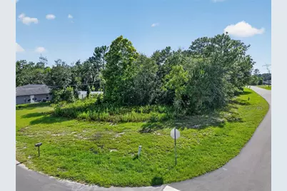 0000 SW 155th Street Road, Ocala, FL 34473 - Photo 5