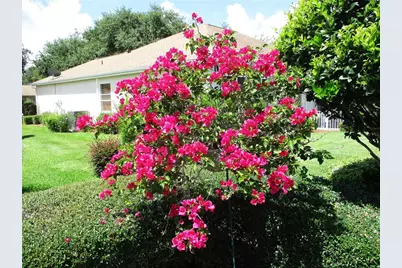 11588 SW 139th Place, Dunnellon, FL 34432 - Photo 53