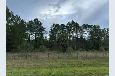 0000 SE 60th Avenue, Morriston, FL 32668 - Photo 1