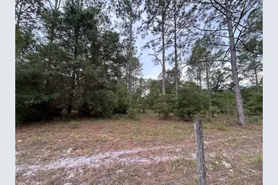 0000 SE 60th Avenue, Morriston, FL 32668 - Photo 11