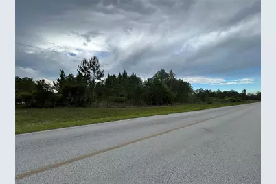 0000 SE 60th Avenue, Morriston, FL 32668 - Photo 5