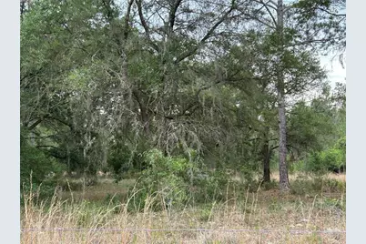 0000 SE 60th Avenue, Morriston, FL 32668 - Photo 9