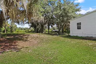 5435 NE 153rd Place Rd, Citra, FL 32113 - Photo 5
