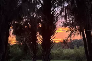 5435 NE 153rd Place Rd, Citra, FL 32113 - Photo 43