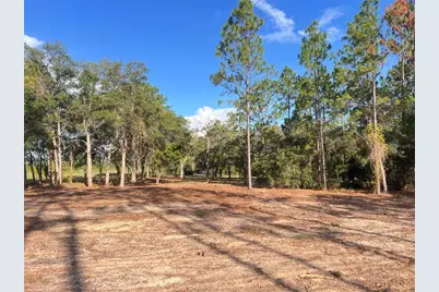 Levy Street, Williston, FL 32696 - Photo 3