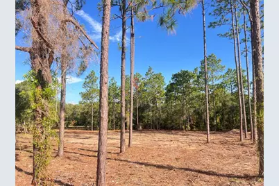 Levy Street, Williston, FL 32696 - Photo 7