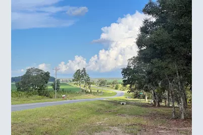 Levy Street, Williston, FL 32696 - Photo 23