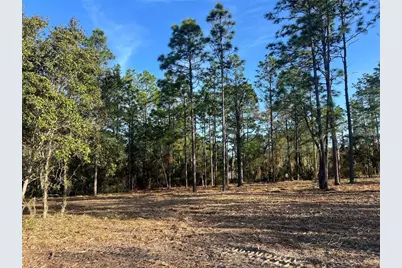 Levy Street, Williston, FL 32696 - Photo 15