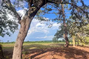 Levy St, Williston, FL 32696 - Photo 1
