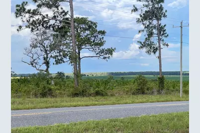 Levy Street, Williston, FL 32696 - Photo 11