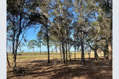 Levy Street, Williston, FL 32696 - Photo 13