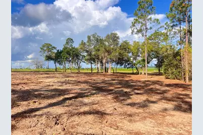 Levy Street, Williston, FL 32696 - Photo 5