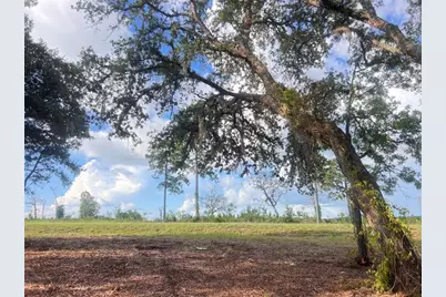 Levy Street, Williston, FL 32696 - Photo 25