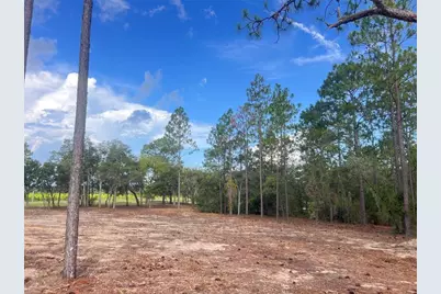 Levy Street, Williston, FL 32696 - Photo 17