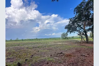 Levy Street, Williston, FL 32696 - Photo 9