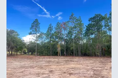 Levy Street, Williston, FL 32696 - Photo 19