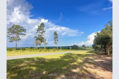 Levy Street, Williston, FL 32696 - Photo 21