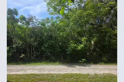6601 SE 119th Street, Belleview, FL 34420 - Photo 1