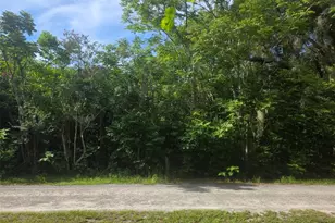 6601 SE 119th St, Belleview, FL 34420 - Photo 1