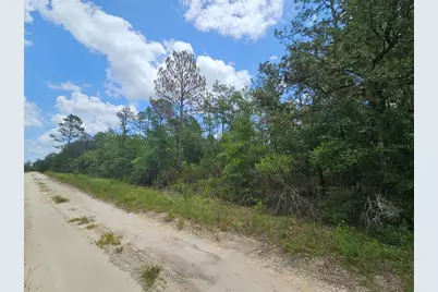 0000 NE 40th Lane, Williston, FL 32696 - Photo 5