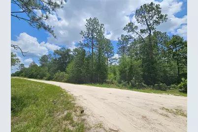 0000 NE 40th Lane, Williston, FL 32696 - Photo 3