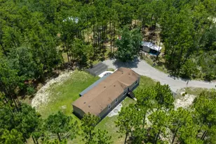 105 Buck Run Trail, Hawthorne, FL 32640 - Photo 3