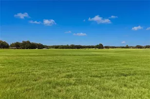 18951 SE 15 St, Williston, FL 32696 - Photo 51