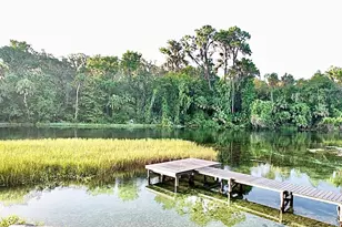 [Address not provided], Dunnellon, FL 34432 - Photo 51
