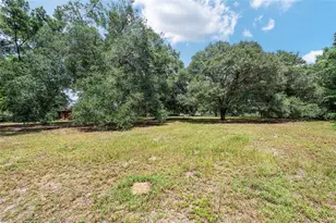 6968 SW 99th St, Ocala, FL 34476 - Photo 69