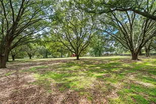6968 SW 99th St, Ocala, FL 34476 - Photo 71