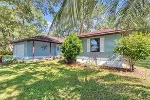 16365 SE 17th St, Ocklawaha, FL 32179 - Photo 47