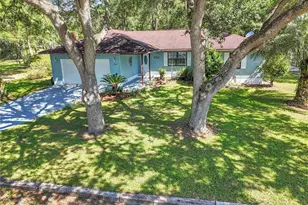 16365 SE 17th St, Ocklawaha, FL 32179 - Photo 45