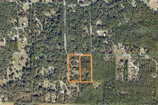 7392 NE 192 Pl, Citra, FL 32113 - Photo 45
