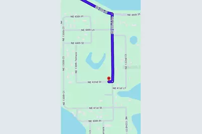 Ne 41st Place, Silver Springs, FL 34488 - Photo 3