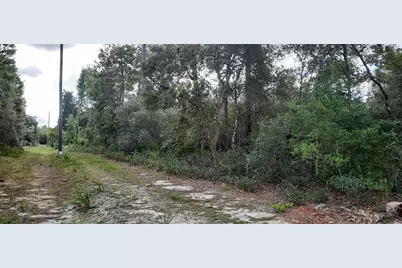 Tbd NE 201st Place, Fort Mc Coy, FL 32134 - Photo 5