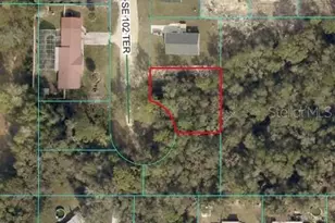 SE 102nd Terrace, Ocklawaha, FL 32179 - Photo 1