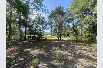 Tbd NE 3rd Place, Williston, FL 32696 - Photo 1