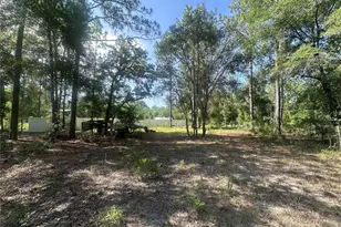 Tbd NE 3rd Pl, Williston, FL 32696 - Photo 1