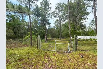 Tbd NE 3rd Place, Williston, FL 32696 - Photo 5