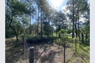 Tbd NE 3rd Place, Williston, FL 32696 - Photo 3