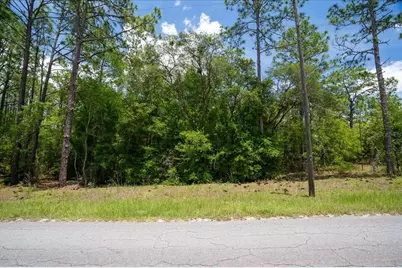 150th Avenue, Williston, FL 32696 - Photo 3
