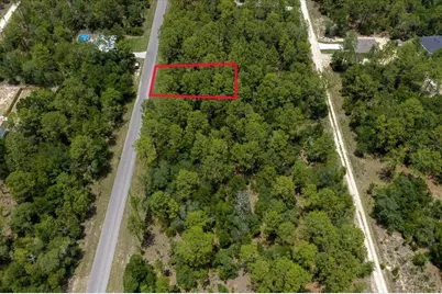 150th Avenue, Williston, FL 32696 - Photo 7