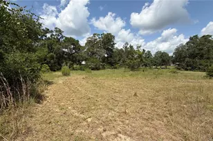 4934 N Tanglewood Ave, Hernando, FL 34442 - Photo 13