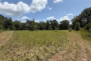 4934 N Tanglewood Ave, Hernando, FL 34442 - Photo 15