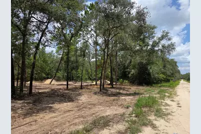 Tbd NE 122nd Avenue, Williston, FL 32696 - Photo 13
