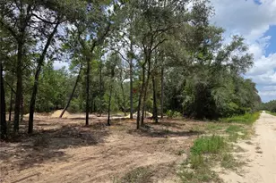 Tbd NE 122nd Ave, Williston, FL 32696 - Photo 13