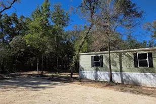 1110 NE 122nd Ave, Williston, FL 32696 - Photo 5